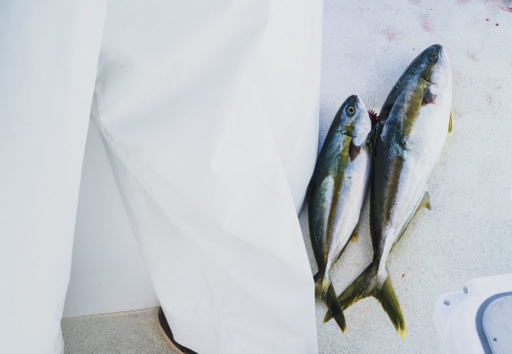 Two fish on a boat deck next to a person in white clothing.