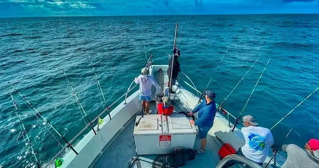 People fishing on a boat under a clear blue sky.